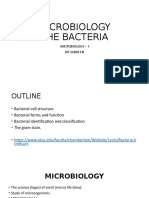 Microbiology The Bacteria: Microbiology - I DR Sabreen