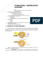 Tema10 Respiración y Fermentación PDF