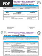 Informe Semanal de Teletrabajo