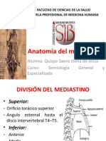 Anatomía Del Mediastino