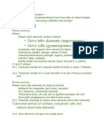 Phloem: - Sieve Tube Elements (Angiosperms) - Sieve Cells (Gymnosperms)