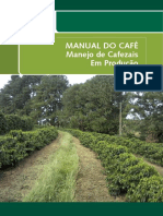 Manejo de Cafezais em Produção