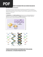 Enfermedades Causadas Por Los Acidos Nucleicos
