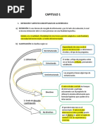 Resumen Manual Entrevista de Conxa Perpiña PDF