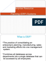 Enterprise Resource Planning (ERP) Systems