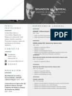 Curriculum Vitae Brandon Villarreal