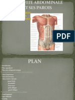 Anatomie2an-Cavite - Abdominale (1) (Enregistrement Automatique)