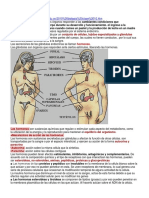 SISTEMA ENDOCRINO Arregado para Mami