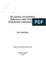 Sin Visio n5 PDF