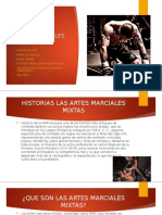 Exposicion Artes Marciales Mixtas