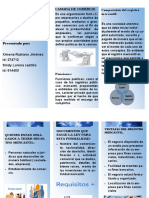 Folleto Camara de Comercio PDF