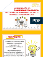 Acompañamiento Pedagogico PDF