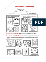 Los Animales Vertebrados e Invertebrados