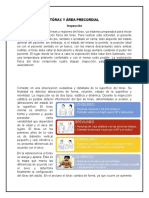 Exploracion Fisica de Torax y Area Precordial