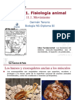 GTP T11.fisiologia Animal Movimiento 2016-18