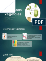 Hormonas Vegetales