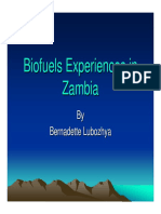 Biofuel Lubozhya Zambia PDF