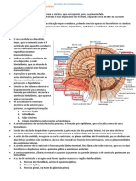 Resumo - Anatomia Do Diencéfalo