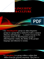 Ethnolinguistic AND SUB CULTURE