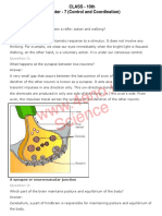 CLASS - 10th Chapter - 7 (Control and Coordination) : A Synapse or Neuromuscular Junction