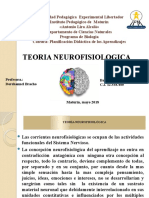 Teoria Neurofisiologica Seminario Planificacion