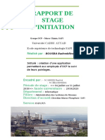 Rapport Stage D'initiation (Informatique OCP Safi)