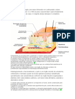 Quiz de Dermatologia