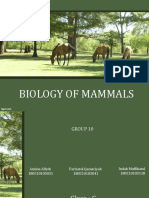Biology Mammals PPT Kel.10