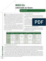 Micorrizas 2 PDF