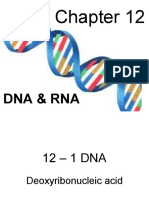 Dna & Rna