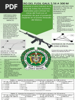 Puesta A Cero Del Fusil Galil 5.56 A 300 M