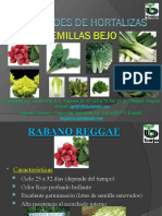 Aspectos Generales en El Cultivo de Hortalizas