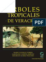 Árboles Tropicales de Veracruz