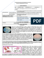 Guia 3 Ciencias e Informatica 6°