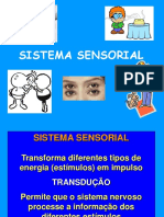 Aula 3 Sistema Sensorial Fisio Humana