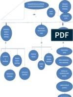 Mapa Conceptual Capitulo 2