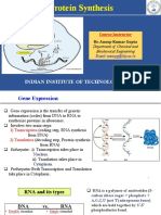 Protein Synthesis: Indian Institute of Technology Patna