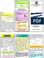 Triptico Numeros Racionales