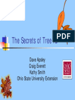 The Secrets of Tree ID: Dave Apsley Craig Everett Kathy Smith Ohio State University Extension