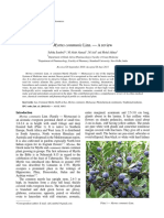 Riview Myrtus PDF