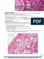 Cuadernillo Histologia B COMPLETO