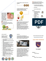 Triptico Dengue PDF