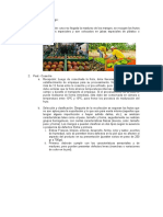 Proceso Logistica Del Mango