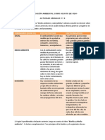 Actividad Semana 5 y 6