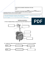 Guía Sistema Digestivo 2020