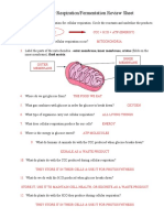 Cellular Respiration - Fermentation Review Worksheet