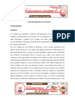 Envejecimiento Saludable PDF