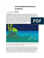 Animales Con Fecundación Externa y Fecundación Interna