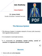 Nervous System