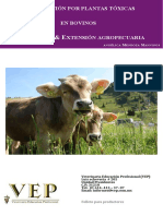 Guia Productores Intox Bovi Cuadrado PDF